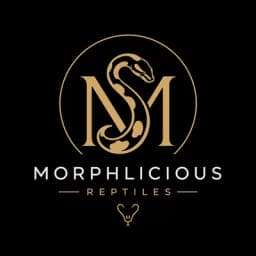Morphlicious