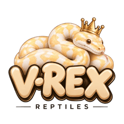 V-Rex Reptiles